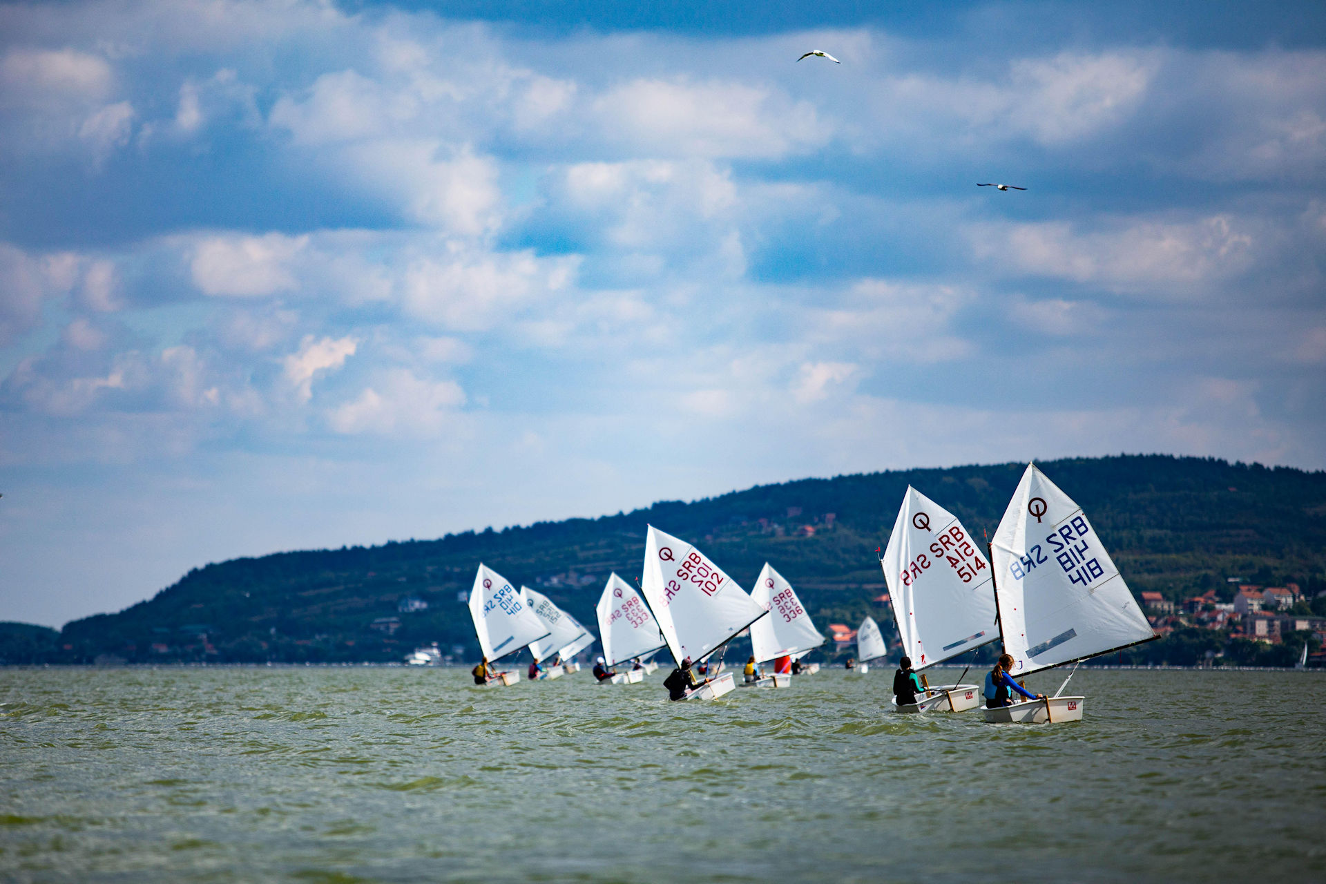 Broadening horizons: The making of SSL Team Serbia